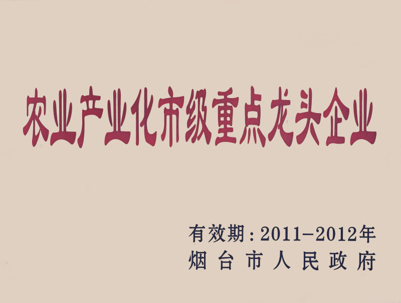 龙头企业2011-2012