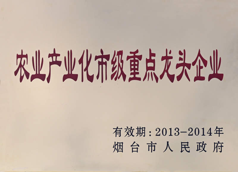 龙头企业2013-2014