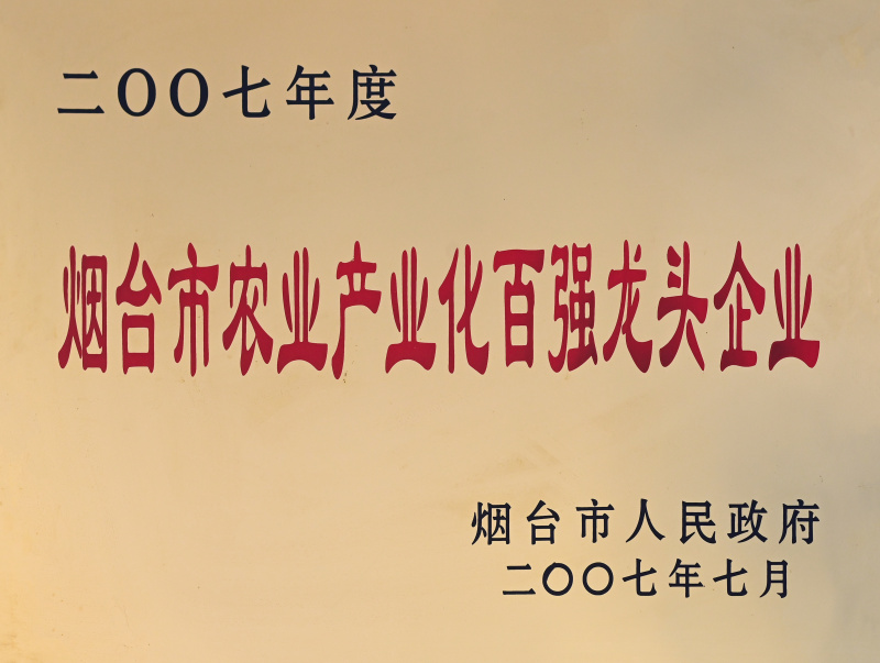 百强龙头2007